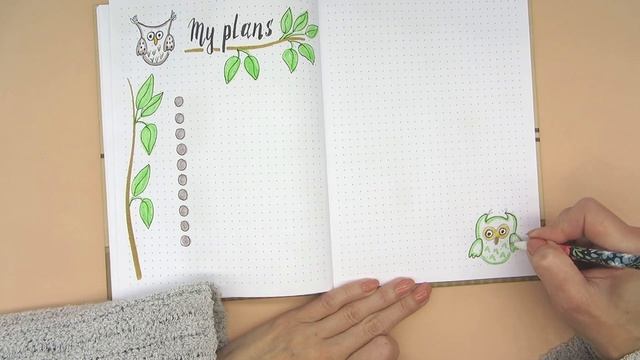 Bullet Journal AUGUST setup.  Plan with me bullet journal august theme OWLS