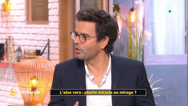 L’aloe vera: plante miracle ou mirage ? - La Quotidienne