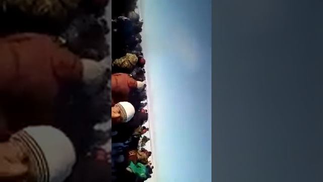 Нарынқол кокпар