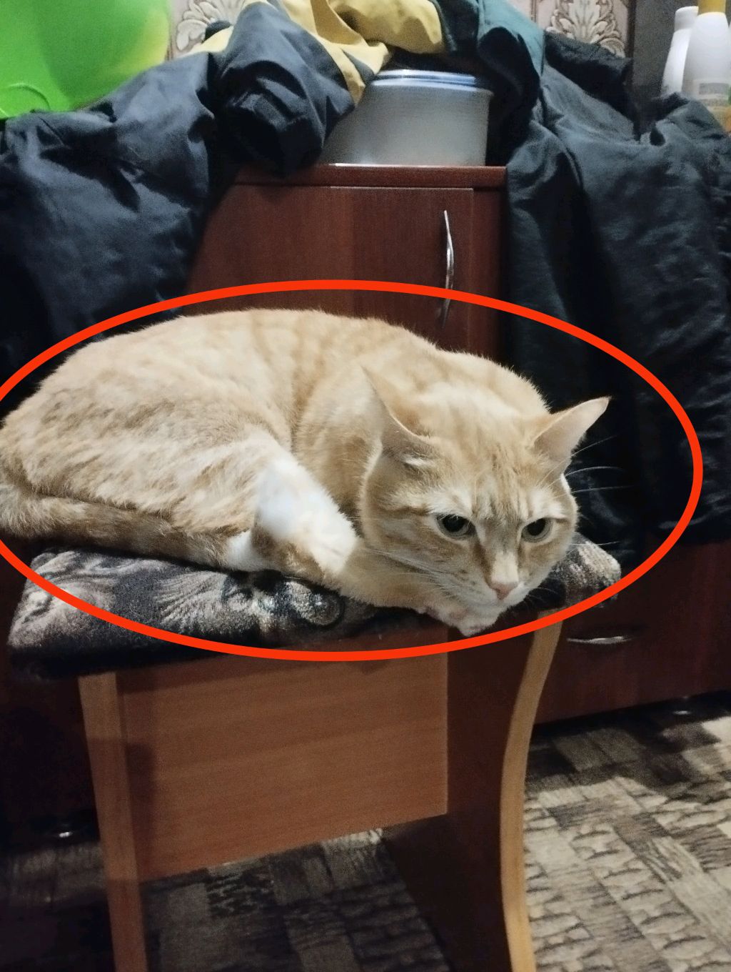 лп