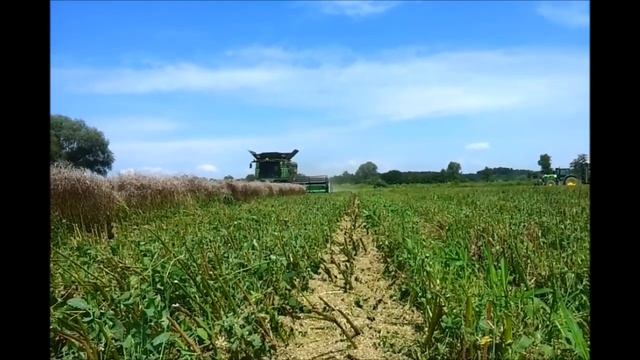Repce Aratás(Raps Harvest)1.rész/2014/Agro-LőrincKFT./2x John Deere 6170,2x John Deere s680i