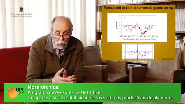 Daniel Calderini / Floración en Raps.