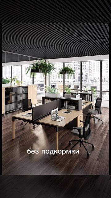Зелень в офисе. 
+79604745362 WA Краснодар-Сочи-Москва