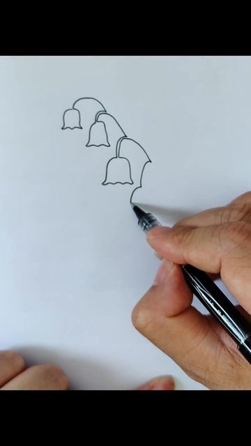 One line drawing lily of the valley