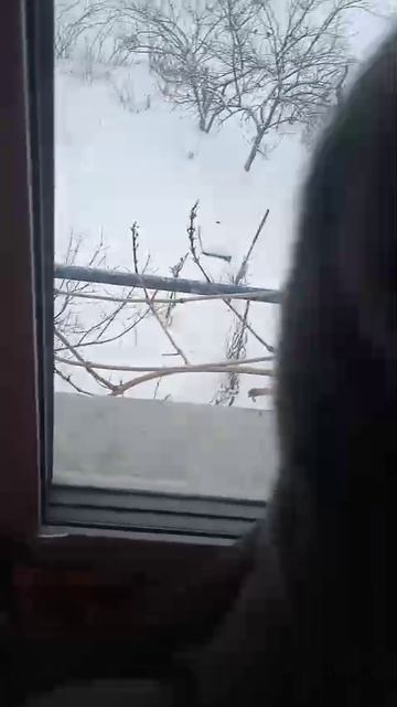 зима