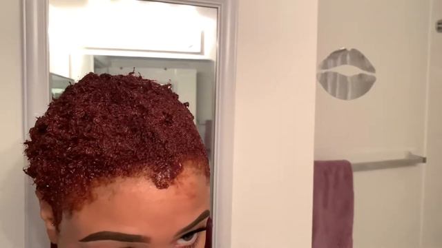 Watch Me Dye My Hair + Hair Updates + How I Style| Sequoia B