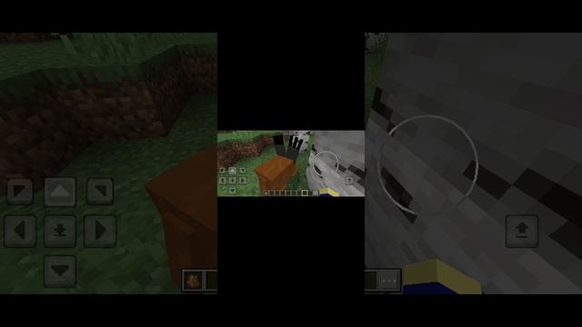 Шлëпа от БЛОПТОП в Minecraft
