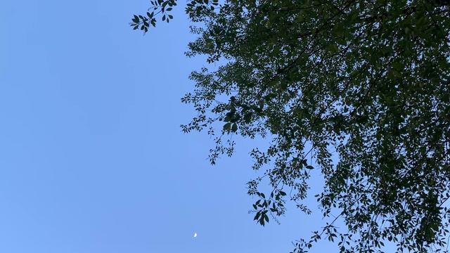 Twilight, Moscow Region,27.04.2023,16°C,08.02 p.m.