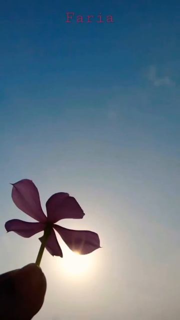 Blue sky || Natural beauty #shorts