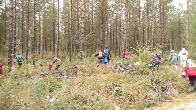 Валерій Шпичка Сезонная работа в Финляндии.