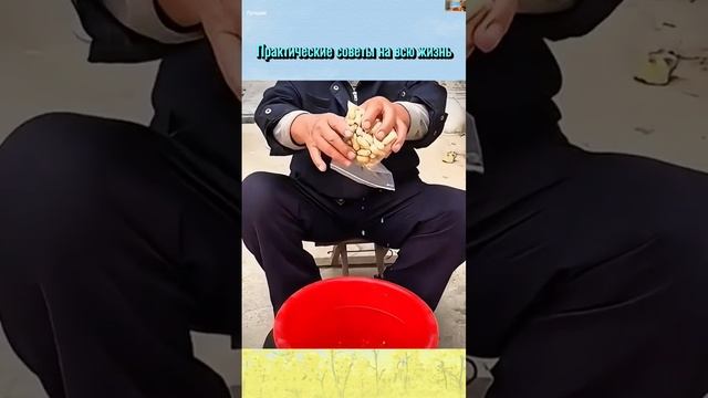 Лайфхаки