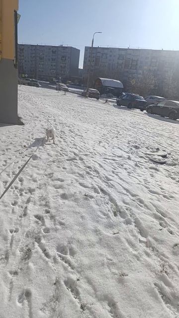 Ожидайте видео