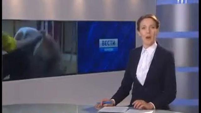 "Время дарить!" Государственный цирк
