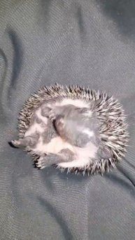 Малышка переворачивается