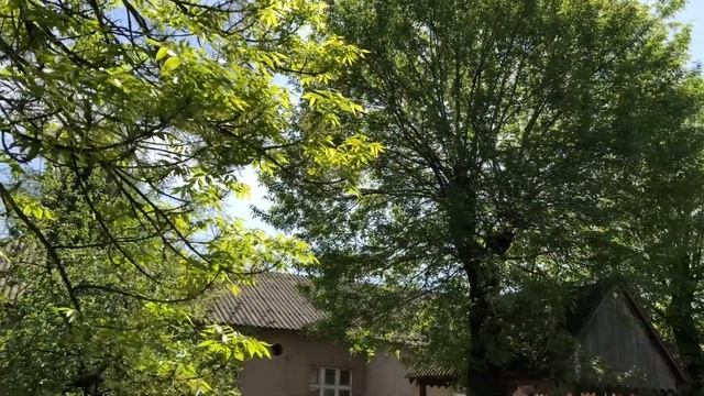 Гімназія інтернат м  Хуста