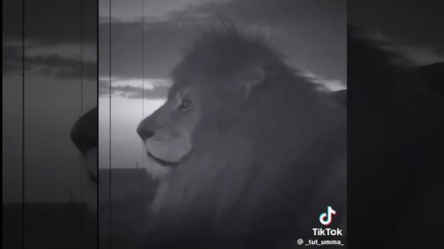 Кто твой настоящий друг