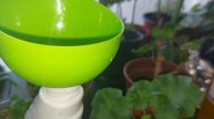 Insecticid natural impotriva puricilor la ridichi - 3 retete