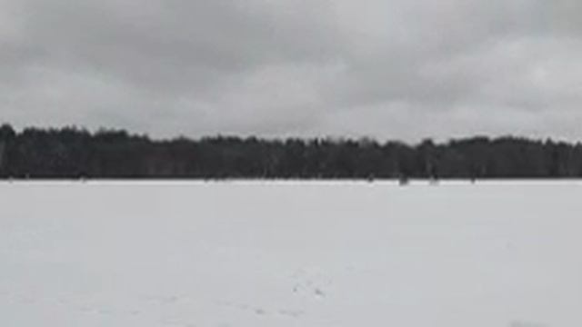 Лыжня 2025. Каток на лесном озере. ЛАСКОВСКОЕ ОЗЕРО. УРЖИНСКОЕ ОЗЕРО. Спасли собаку от волков!