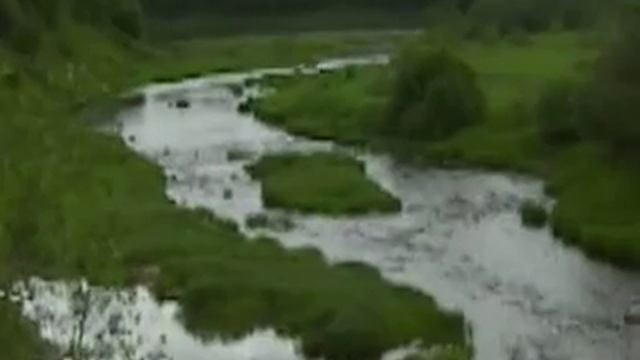 Lynna River, Leningrad Region, Russia (June 2009)