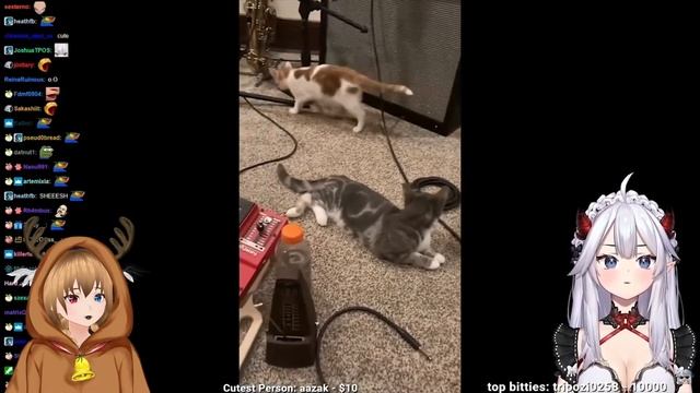 Вейбей смотрит Unusual Memes | Veibae  Unusual Memes \ Eucliwood.Clip  \ Реакция [Ru Vtuber]