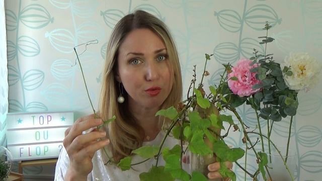 Top ou flop ? Je transforme une patate douce en plante verte