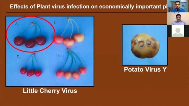 Bioingene.com Webinar on Understanding Plant-Virus interaction ...  [Part 1 of 3]