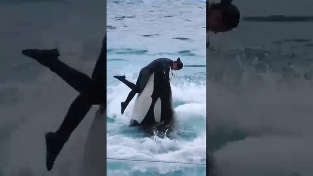 Что такое любовь
