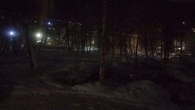 Завараживает как на картине Снежок My favorite yard