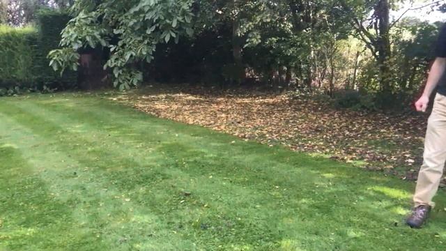 Leaf Collection with the Allett Kensington and the Scarifier Cartridge (2015)