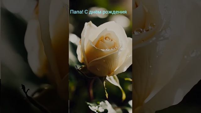 Папа! С днём рождения!