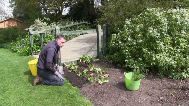 Planting in Spring with the Garden Team
