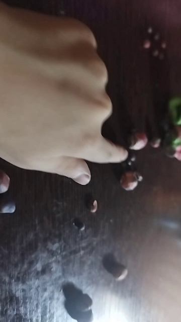 scene_output.mp4