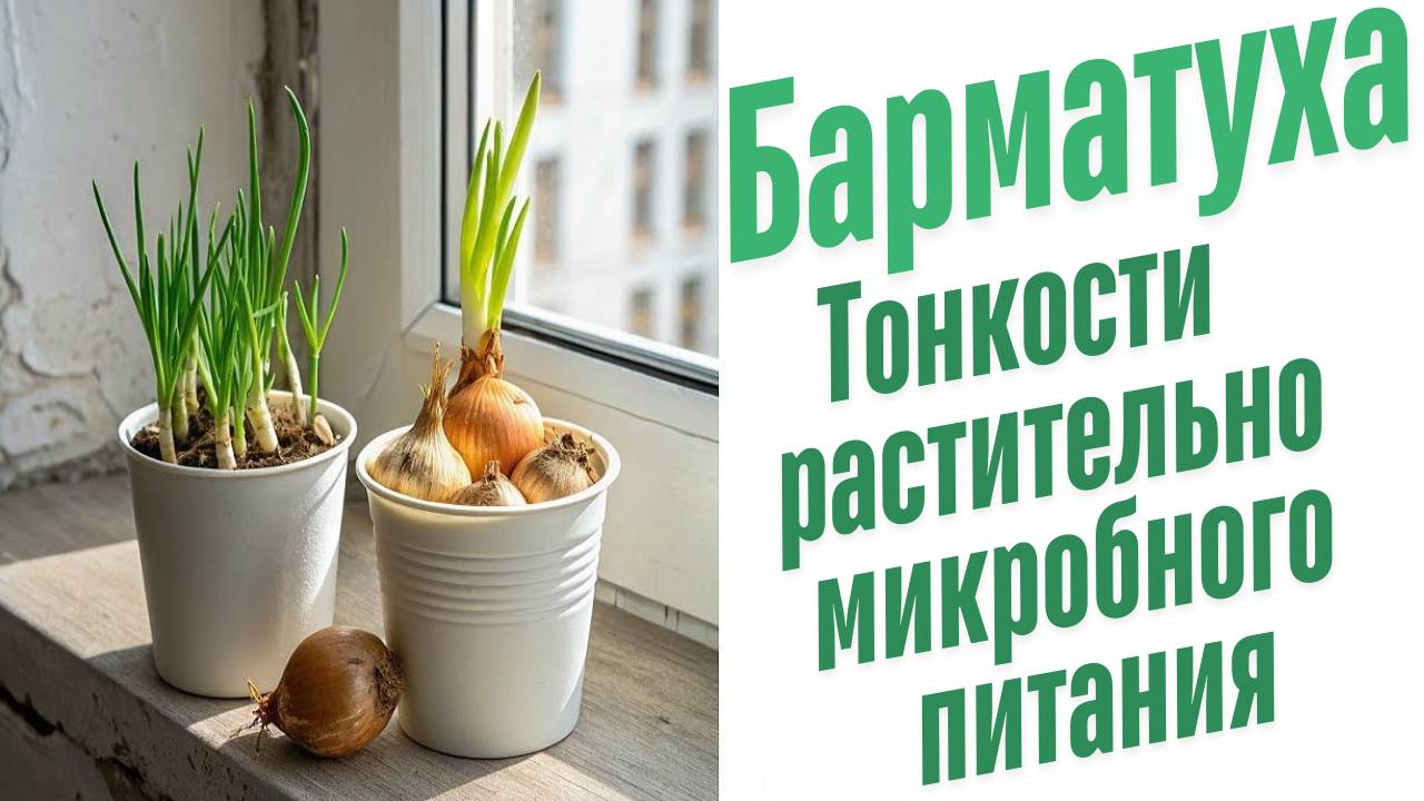 Питание растений и бактерий.