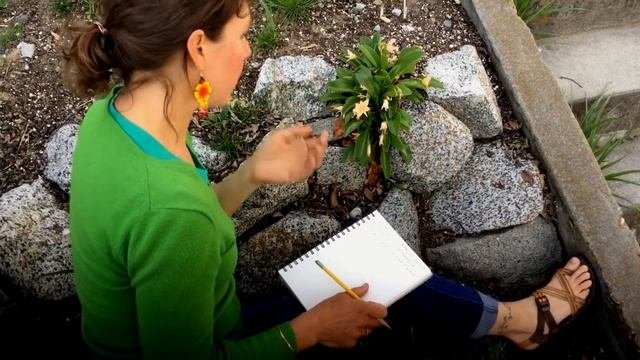 Wenatchee Valley Museum Online Tutorial: Backyard Nature Journaling