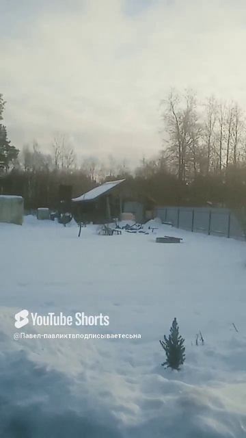 Оранжевое солнце
