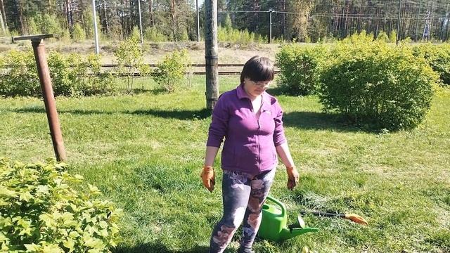 Дела деревенские. Проводим эксперимент с посадкой тыквы.