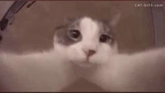 1000003669.mp4