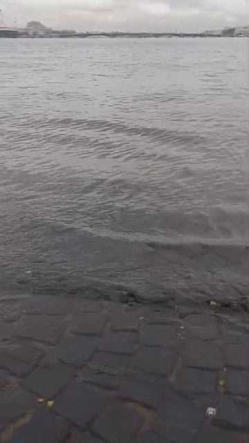 Живу я улыбкой твоей