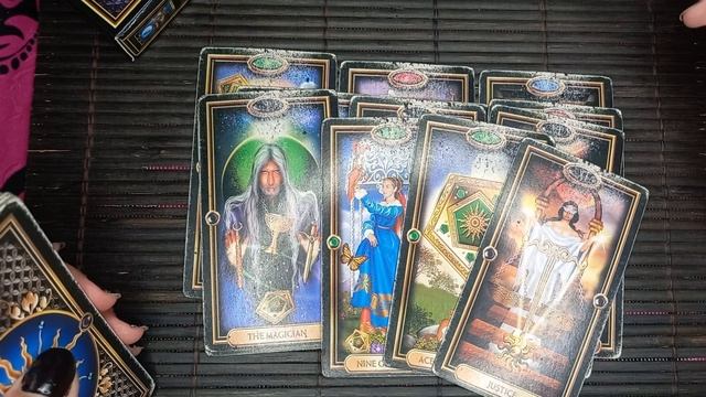 Мусоровоз и мент...карма?