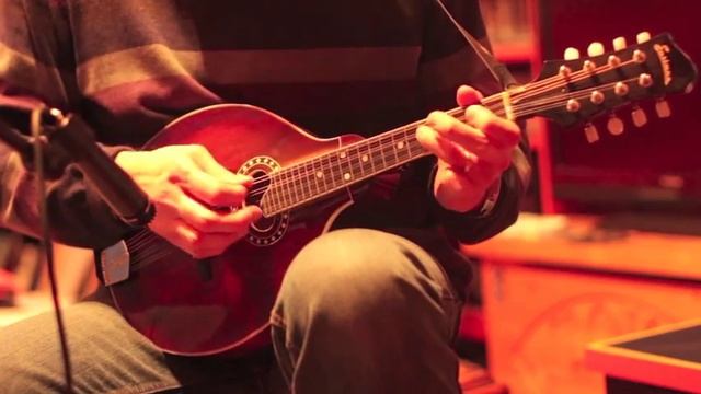 The butterfly. Mandolin