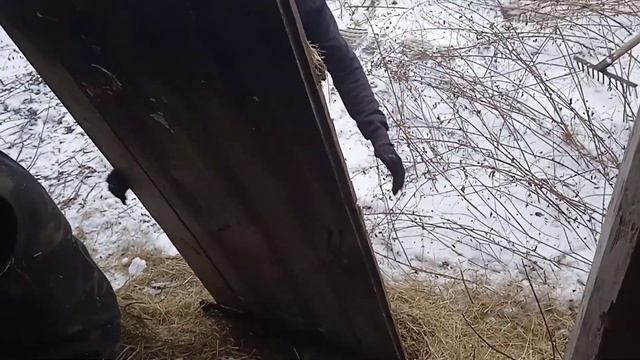 Сходив на заробітки, загрузили фуру тюків. Яка ціна на сіно. Будні села