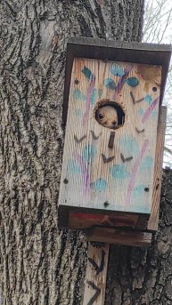 Где живут белки