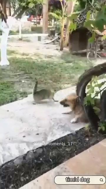 1000073927.mp4
