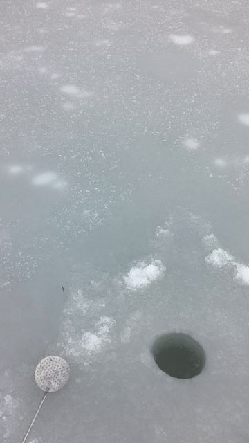 открыли сезон по зимней рыбалке 🎣