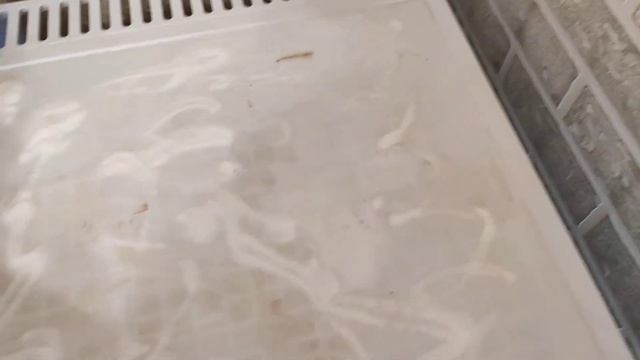 Как отмыть что угодно содой и уксусом от нового вида бактерий например холодильник веселый опыт