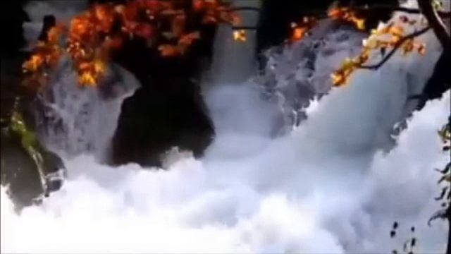 СТАРЫЙ ДОМ ПОСРЕДИНЕ РОССИИ 1