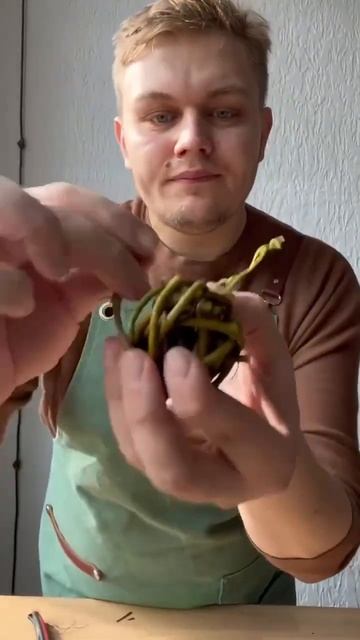 Декоративный шар из девичьего винограда своими руками