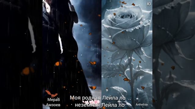 МОЯ РОДНАЯ.. ЛЕЙЛА ( Мераб Амзоев ) 🎶