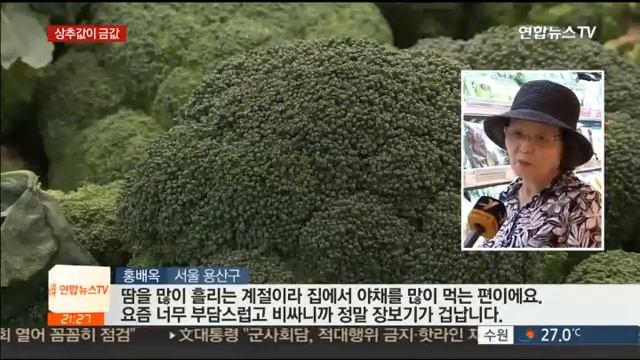 폭우로 채소 가격 '껑충'…계란값도 고공행진 / 연합뉴스TV (YonhapnewsTV)