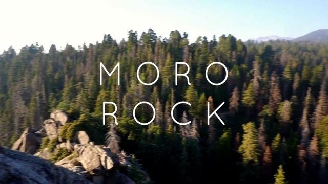 Sequoia National Park Travel Diary ♡ 2017